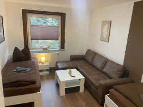 FeWo Wieko Plauen H1 3 OG links Family Appartement XL